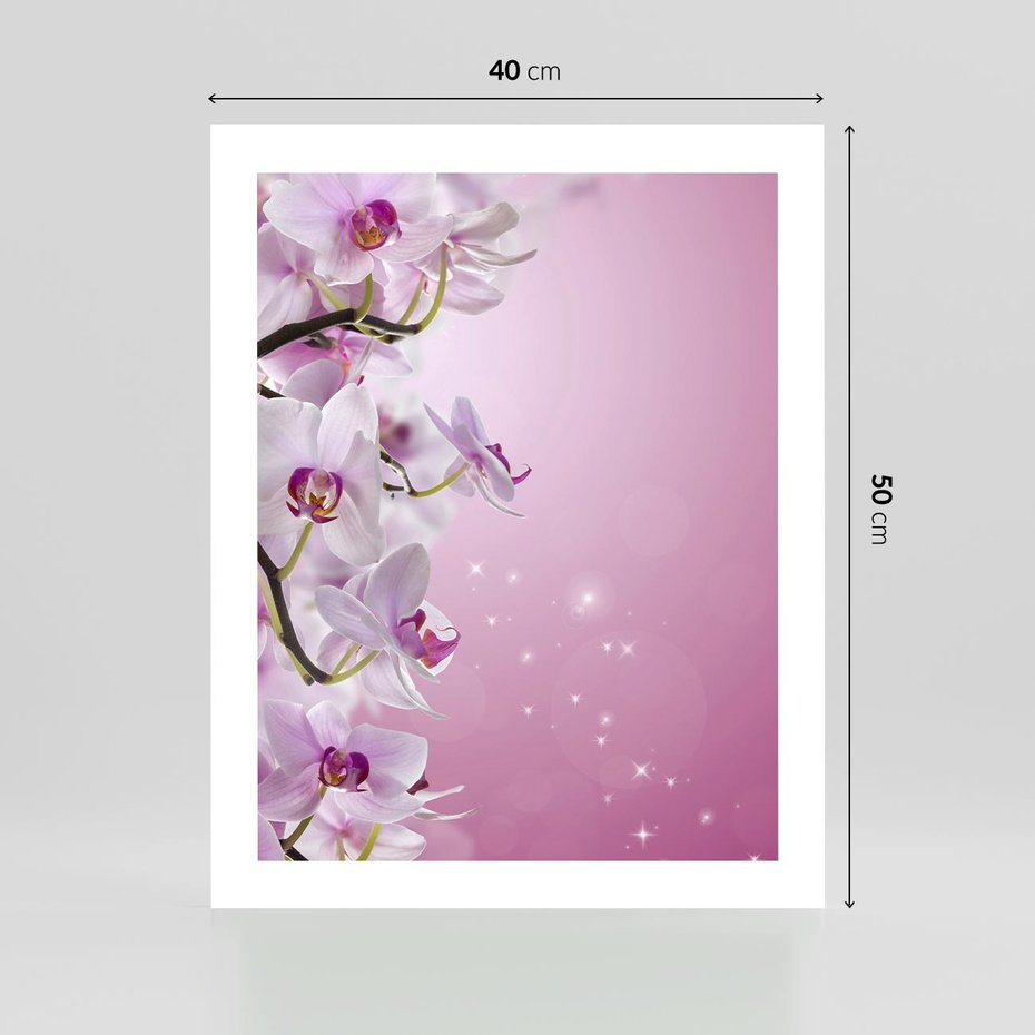 Plakat bez ramy 40x50 - Relaksujące Piękno - kwiaty, orchidea