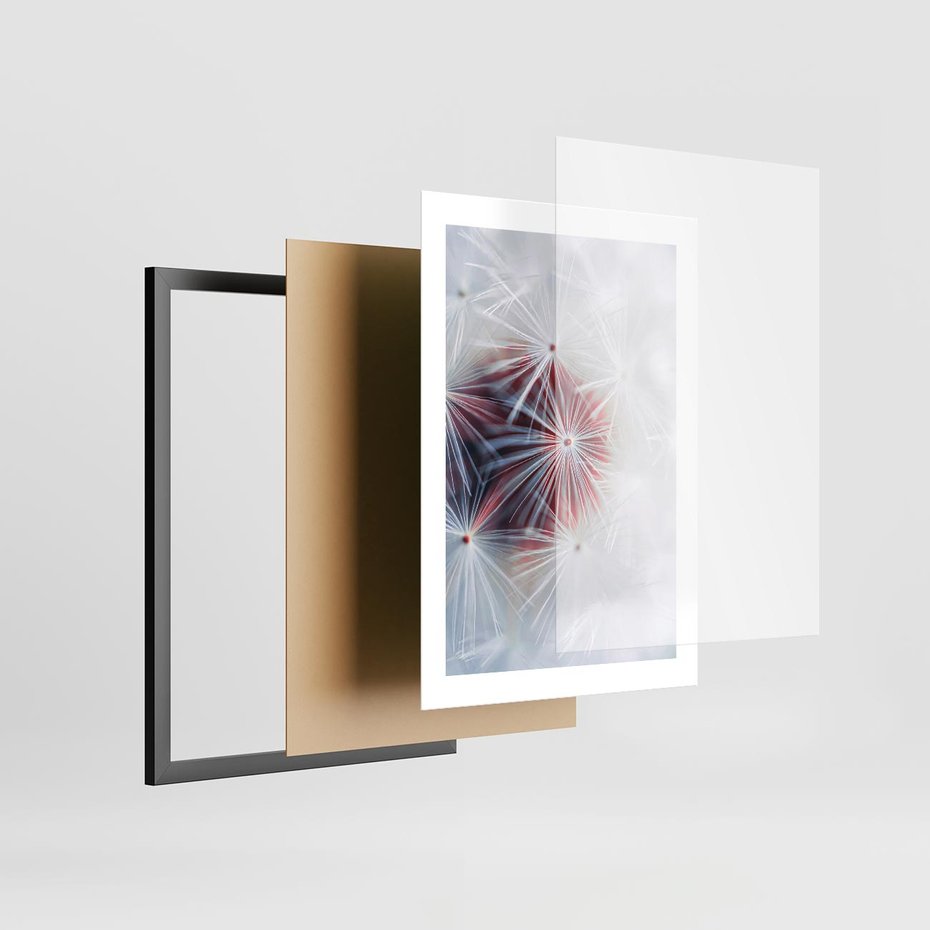 Plakat w ramie 30x40 - Minimalistyczna Delikatność - zbliżenie, dmuchawce - rama czarna