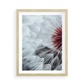 Plakat w ramie 50x70 - Makro Magii Natury - dmuchawiec, zbliżenie makro - rama drewno
