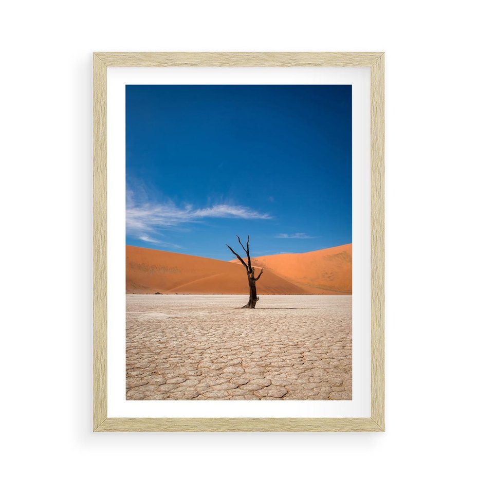 Plakat w ramie 50x70 - Słońce i Suche Drzewo - pustynia, suche - rama drewno