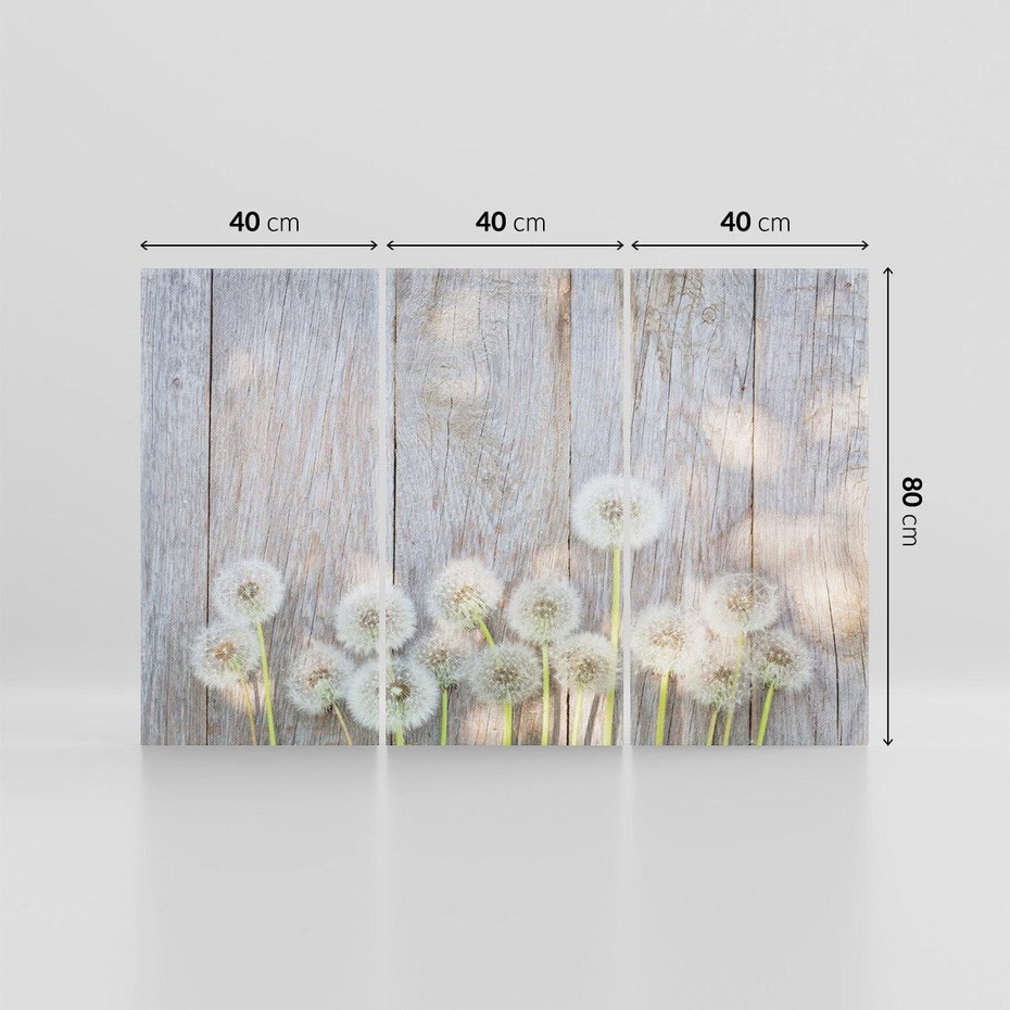 Obraz na płótnie 120x80 - Symbol swobody - dmuchawce