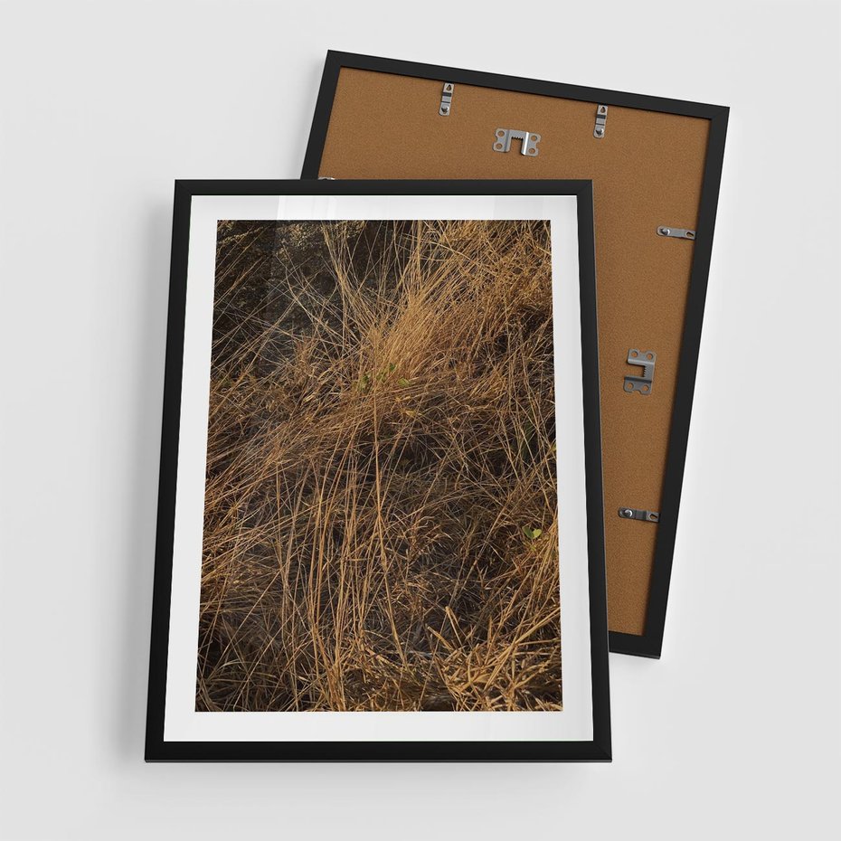 Plakat w ramie 50x70 - Szlachetna Suchość Traw - trawy, suche trawy - rama czarna