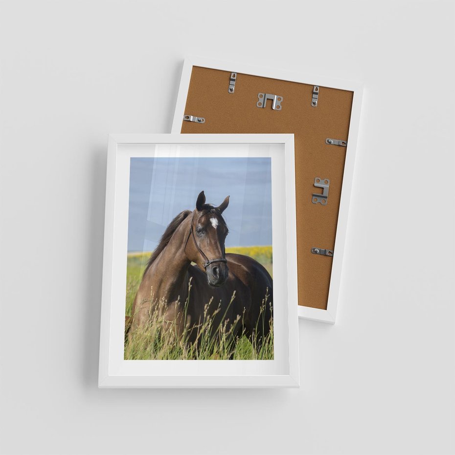 Plakat w ramie 30x40 - Siła i piękno natury - koń, łąka - rama biała