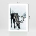 Plakat bez ramy 21x30 - Zimowy Portret Łosia - łoś w zimowej scenerii