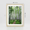 Plakat w ramie 30x40 - Magia lasu pełnego brzóz - las, brzozy - rama drewno