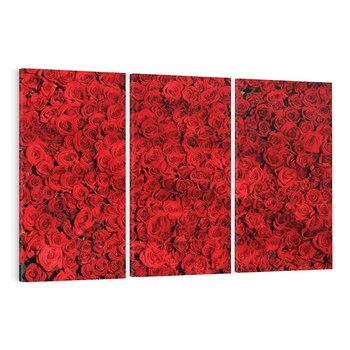 Obraz na płótnie 120x80 - Czerwona Pasja - czerwone, róże
