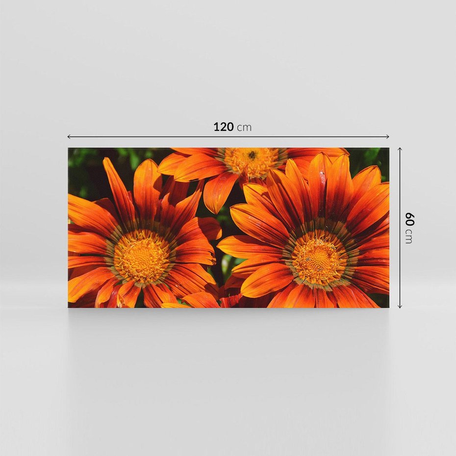 Obraz na płótnie 120x60 - Kwiatowa Esencja - kwiat, kwiaty