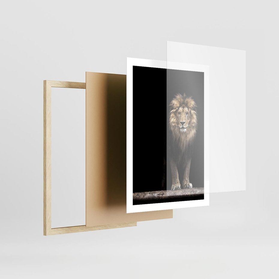 Plakat w ramie 50x70 - Lew: dzikie piękno natury - lew, dzikie - rama drewno