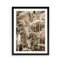 Plakat w ramie 50x70 - Zbliżenie na Kłosy Zboża - zboża, kłosy zboża - rama czarna