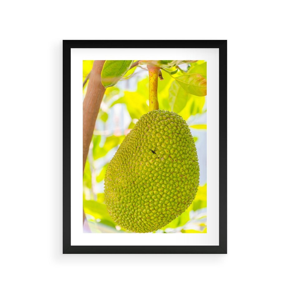 Plakat w ramie 30x40 - Tropikalny raj nad morzem - tropikalny, owoc - rama czarna