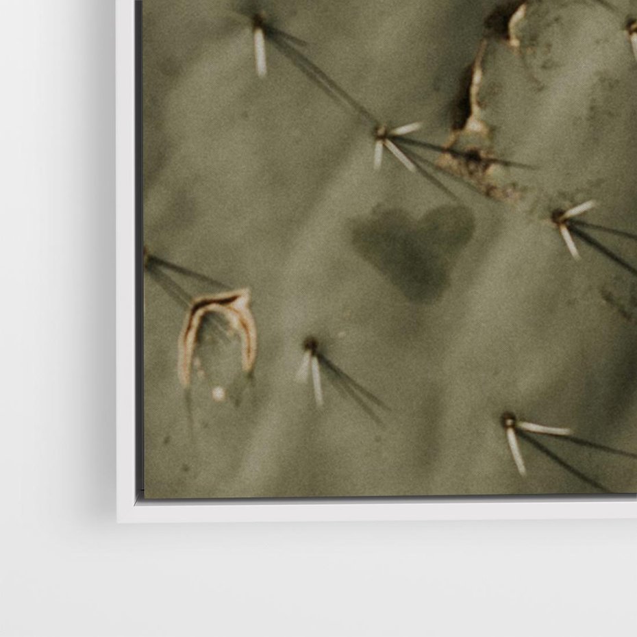 Obraz w ramie 70x50 - Urok Egzotyki - kaktusy, boho - rama biała