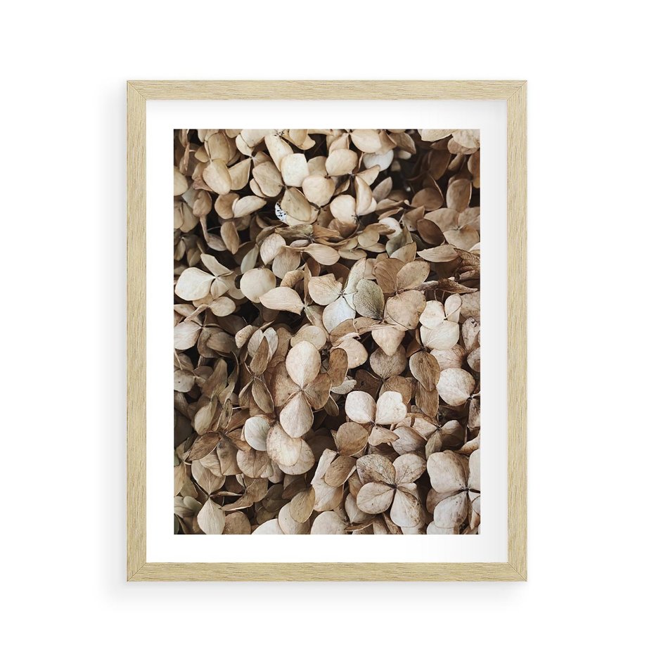 Plakat w ramie 40x50 - Delikatność Hortensji: Kompozycja Kwiatów w Beżu - hortensja, odcienie beżu - rama drewno