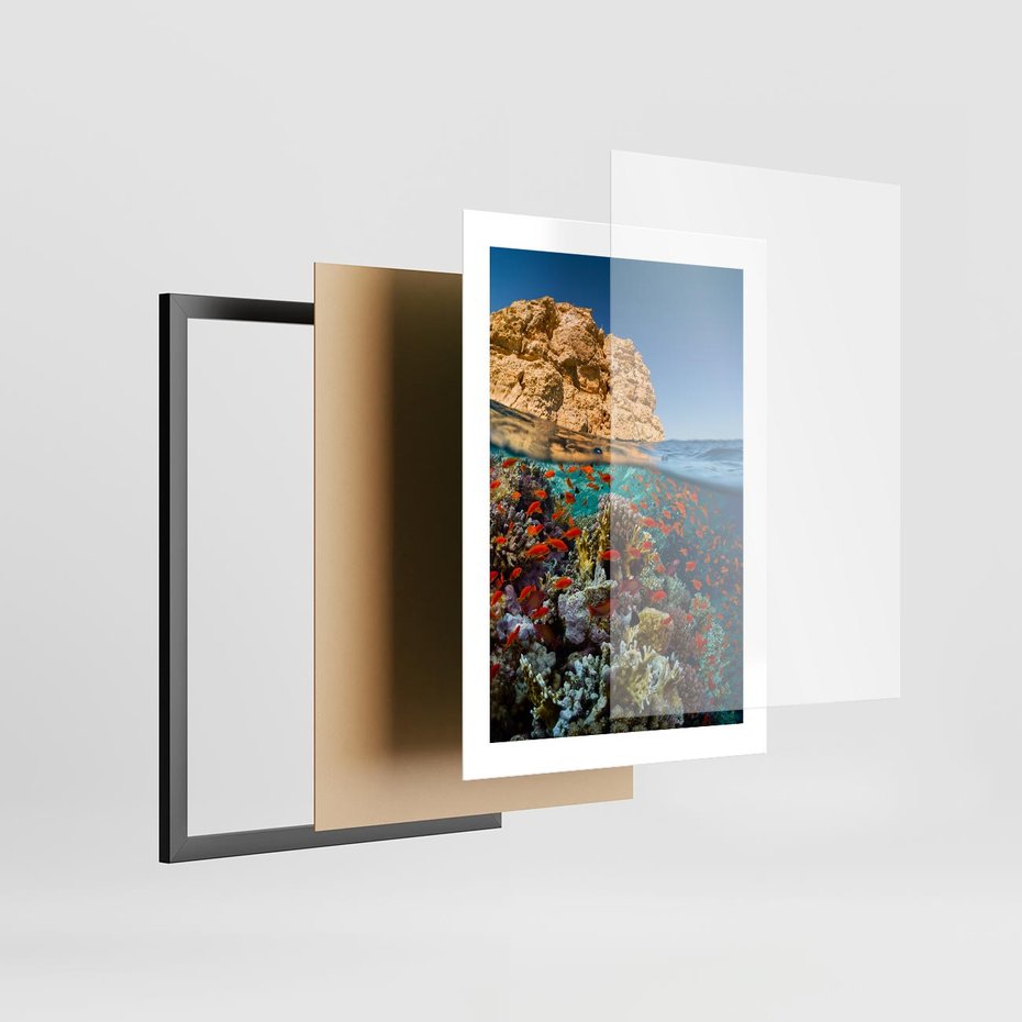 Plakat w ramie 30x40 - Rafa koralowa w oceanie - rafa, koralowa - rama czarna