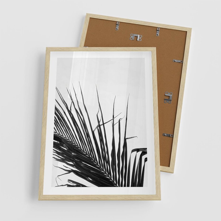 Plakat w ramie 50x70 - Sztuka Natury: Monochromatyczna Palma - palma, czarno białe zdjęcie - rama drewno