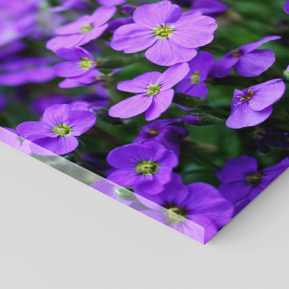 Obraz na płótnie 80x80 - Kwiatowe uniesienia magia natury - kwiat, kwiaty