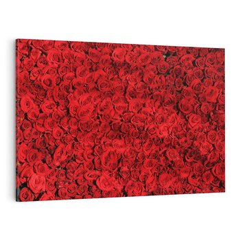 Obraz na płótnie 70x50 - Czerwona Pasja - czerwone, róże