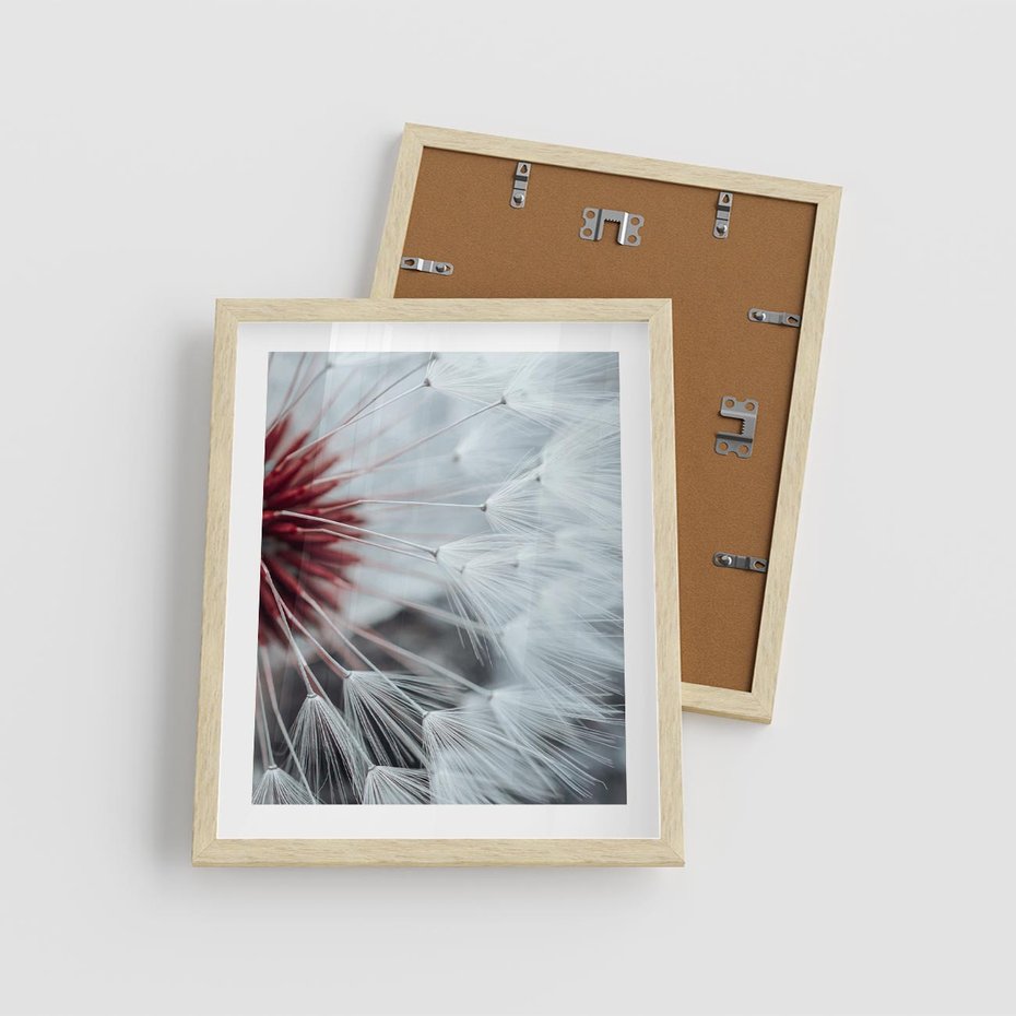 Plakat w ramie 40x50 - Makro świat dmuchawca - dmuchawiec, makro - rama drewno