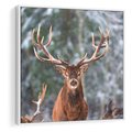 Obraz w ramie 50x50 - Monarcha Zimowej Dziczy - jeleń, zima - rama biała