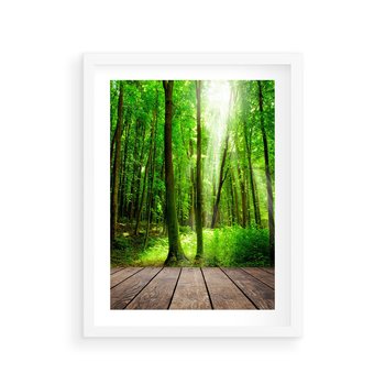 Plakat w ramie 40x50 - Spacer po urokliwej dróżce w lesie - las, dróżka - rama biała
