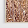 Obraz w ramie 80x120 - Mistrzowskie suche trawy - suche, trawy - rama drewno