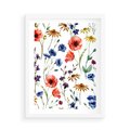 Plakat w ramie 50x70 - Kwiatowe radości na łące - kwiaty, łączka - rama biała