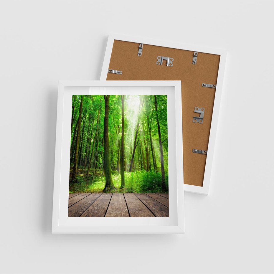 Plakat w ramie 40x50 - Spacer po urokliwej dróżce w lesie - las, dróżka - rama biała
