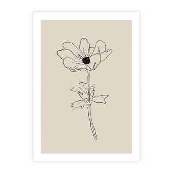 Plakat bez ramy 30x40 - Przenikający Dialog - szkic kwiatu, mnimalistyczny szkic