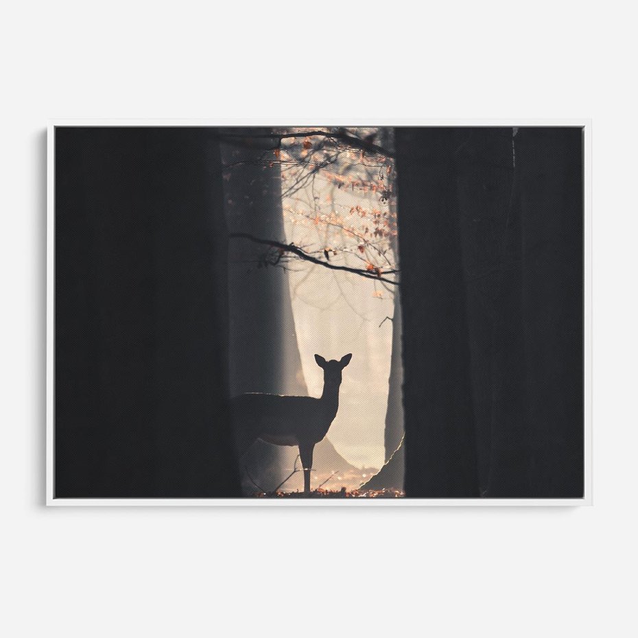 Obraz w ramie 120x80 - Sarnie Skoki - zdjęcie, klimatyczny las - rama biała