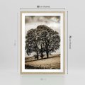 Plakat w ramie 50x70 - Spokojna Osamotniona Chwila - beżowe kolory, samotne drzewo na polu - rama drewno