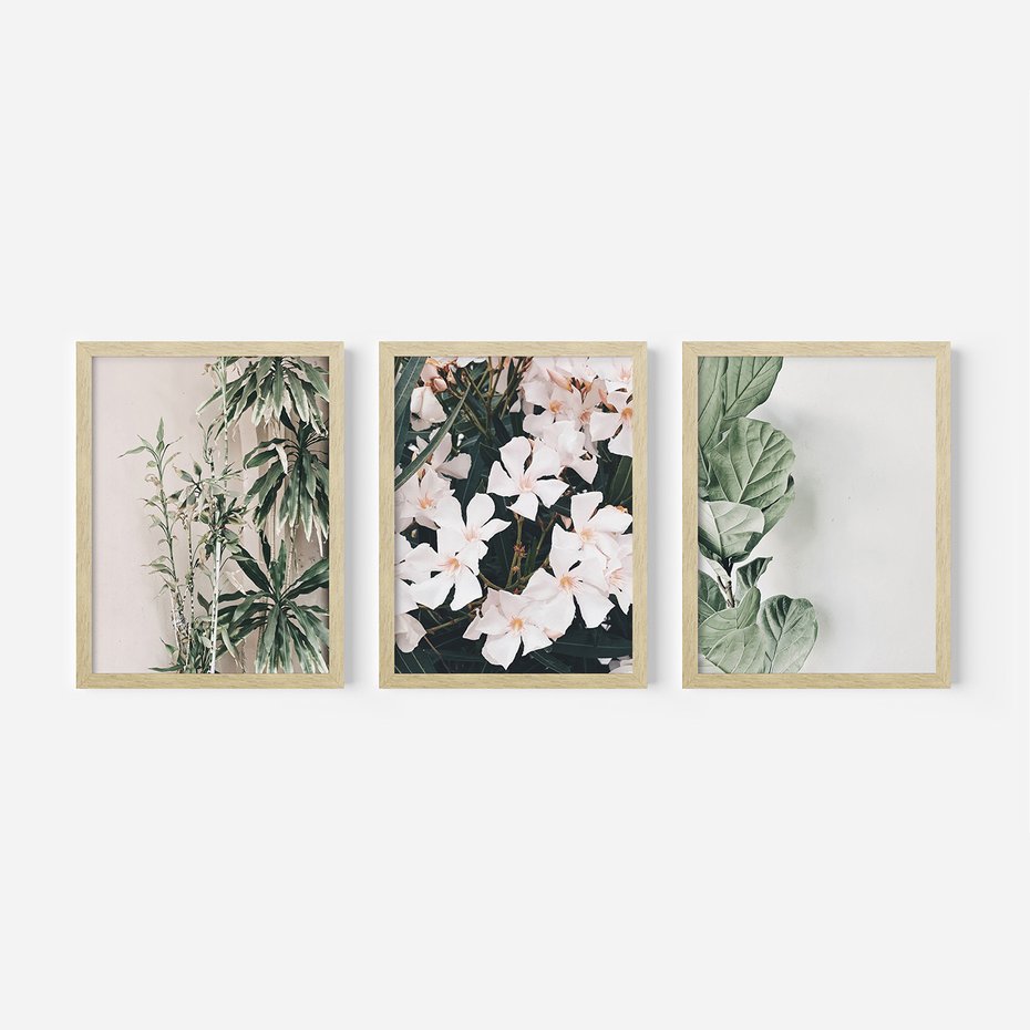 Zestaw obrazy w ramie 40x50 galeria - Liście, kwiaty, nowoczesny, styl - rama drewno