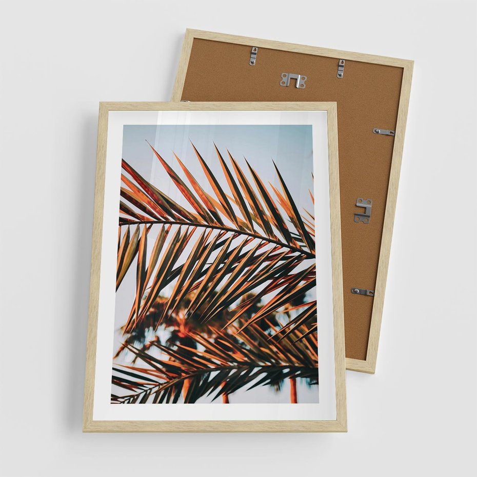 Plakat w ramie 50x70 - Tropikalna Harmonia - palma, liście palmy - rama drewno