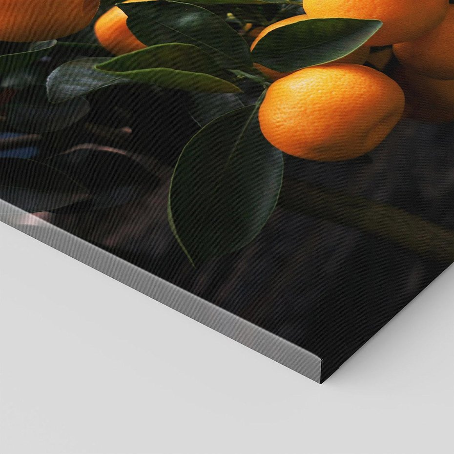 Obraz na płótnie 100x70 - Mandarynki Drzewko Urodzaju - mandarynki, drzewko