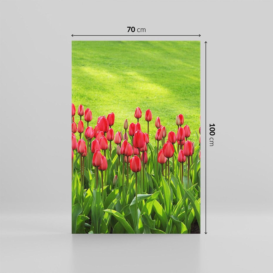 Obraz na płótnie 70x100 - Tulipanowy raj - kwiat, kwiaty