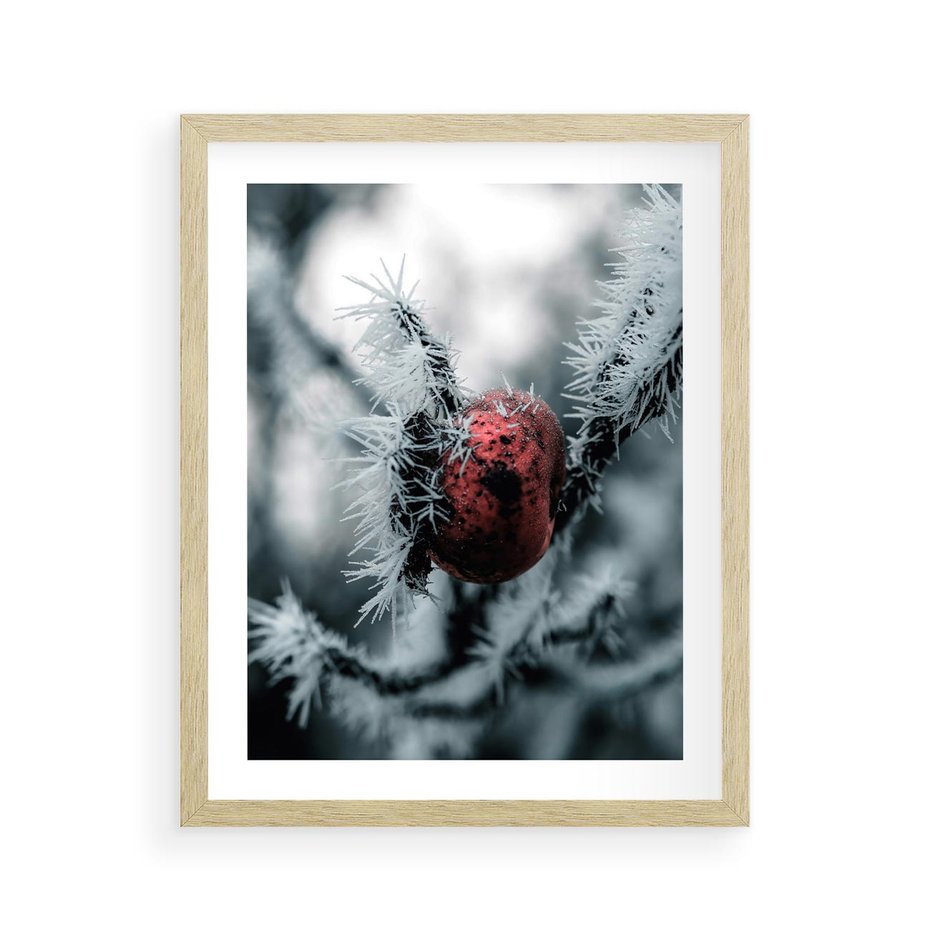 Plakat w ramie 40x50 - Chwila Zimowego Uroku - zima, ośnieżona gałązka - rama drewno