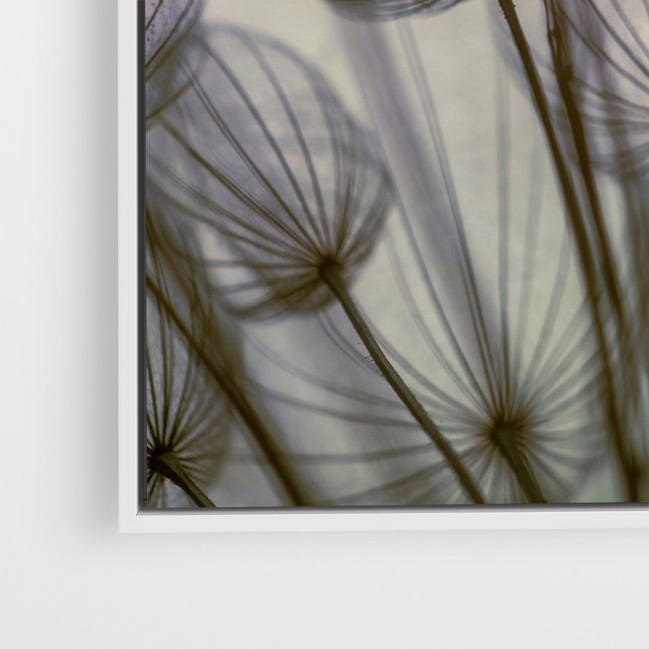 Obraz w ramie 80x120 - Makro dmuchawiec - piękno drobnych detali - dmuchawce, makro - rama biała