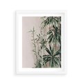 Plakat w ramie 40x50 - Egzotyczna Kompozycja - liście, rośliny tropikalne na tle ściany - rama biała