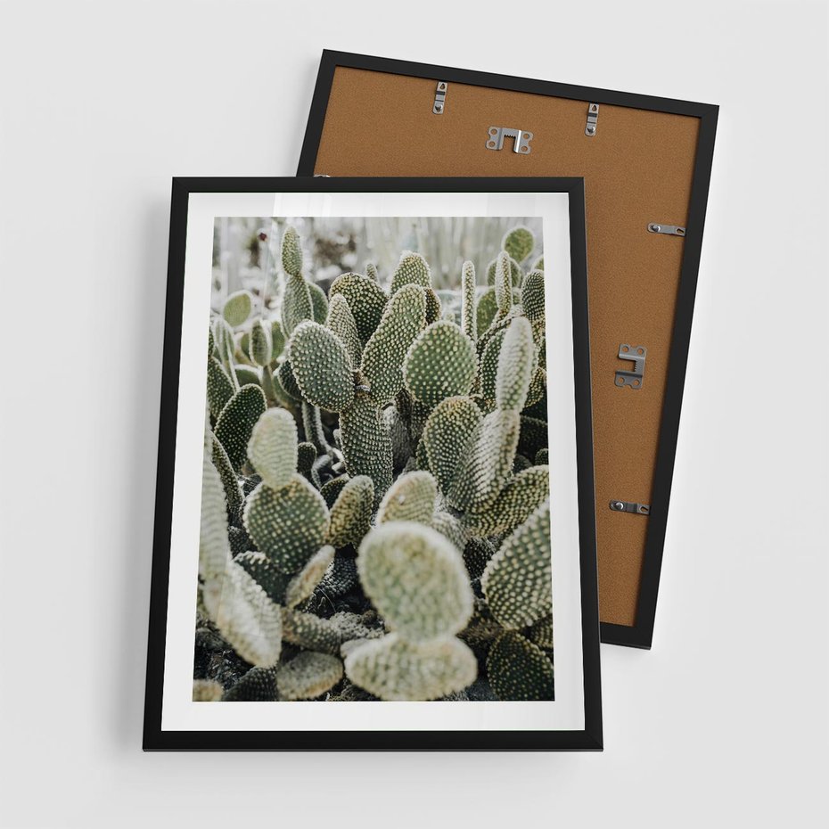 Plakat w ramie 50x70 - Kaktusowa Harmonia - kaktusy, fotografia - rama czarna