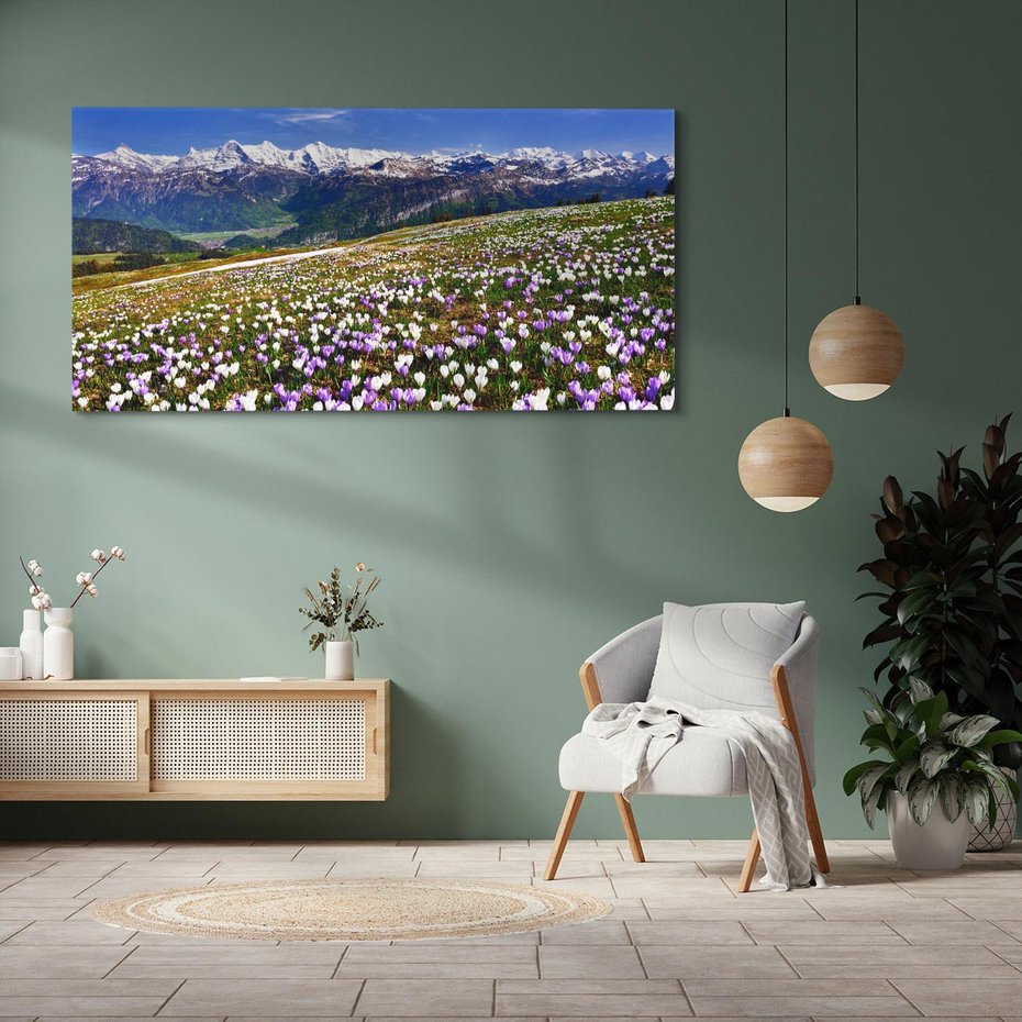 Obraz na płótnie 100x50 - Wiosenne Czarowanie - krokusy, góry