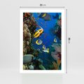 Plakat bez ramy 21x30 - Podwodne królestwo rafy koralowej - rafa, koralowa