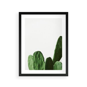 Plakat w ramie 30x40 - Minimalizm Natury - kaktus, zbliżenie - rama czarna