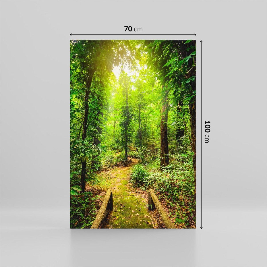 Obraz na płótnie 70x100 - Współistnienie z naturą - drzewa, las