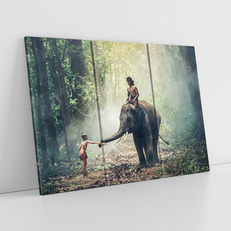 Obraz na płótnie 120x80 - Mistyfikacja w azjatyckim lesie - Azja, słoń