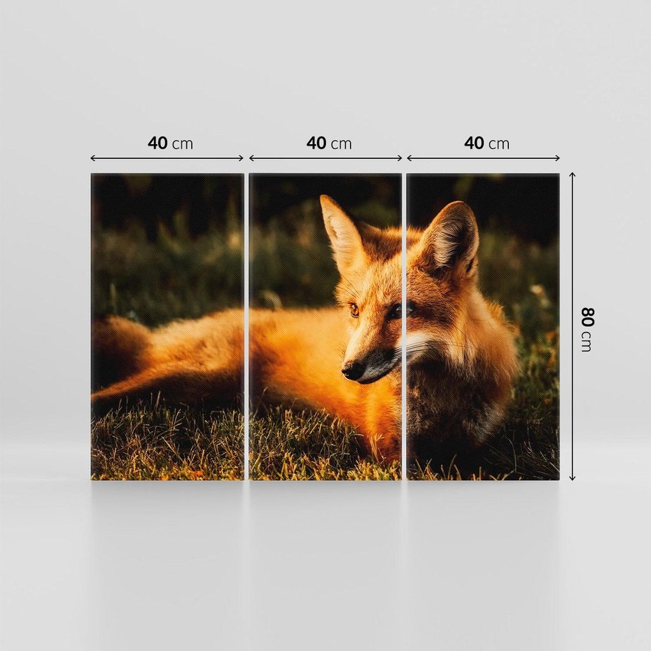 Obraz na płótnie 120x80 - Lisek w lesie - lis, lisek