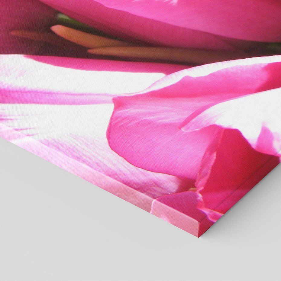 Obraz na płótnie 120x40 - Tulipany w pejzażu - tulipany, kwiaty