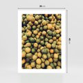 Plakat bez ramy 30x40 - Świeżość Cytrusów - cytryny, limonki