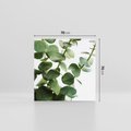 Obraz na płótnie 70x70 - Zielone eukaliptusy - eukaliptus, liście