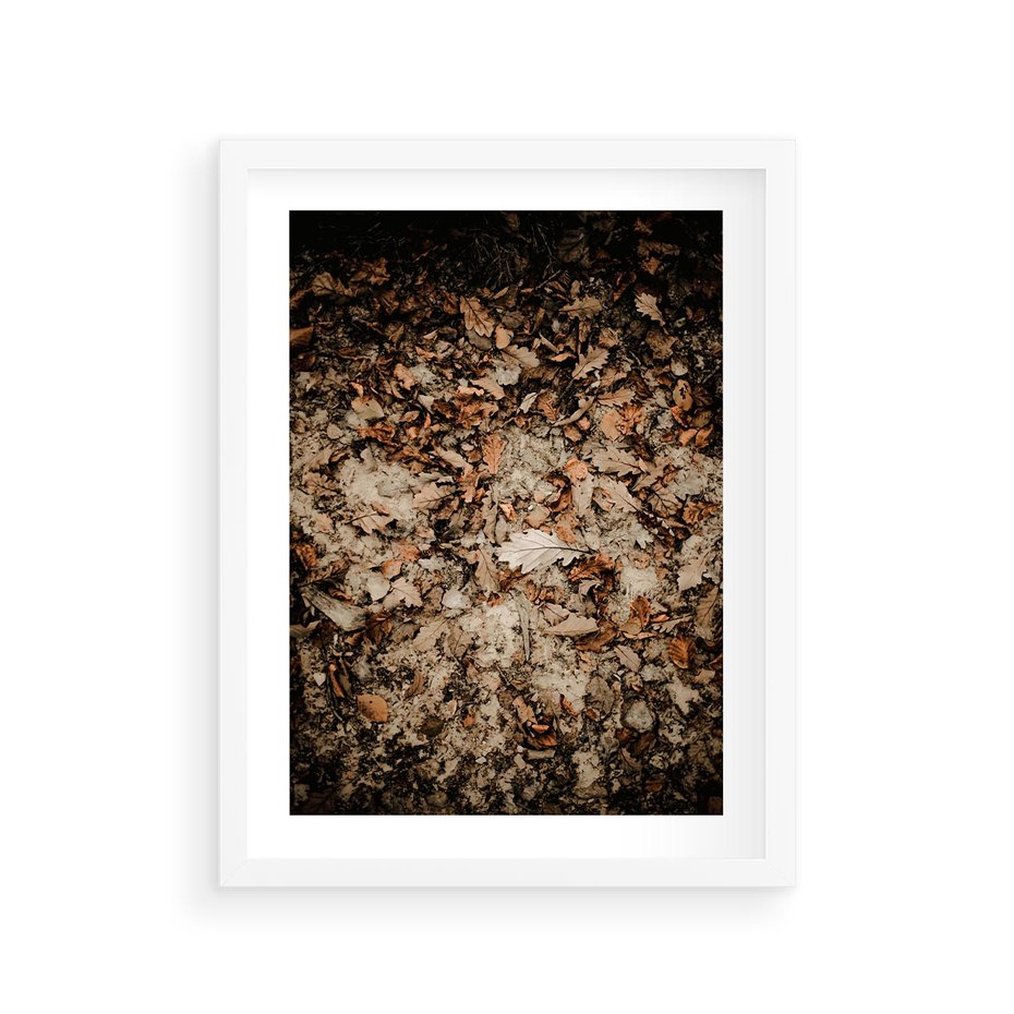Plakat w ramie 30x40 - Suchość Liści w Brązowych Tonach - suche liście jesień brąz - rama biała