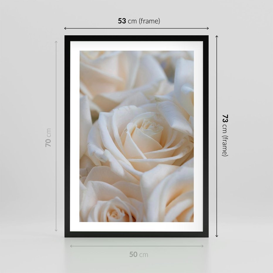 Plakat w ramie 50x70 - Białe róże piękności - białe, róże - rama czarna