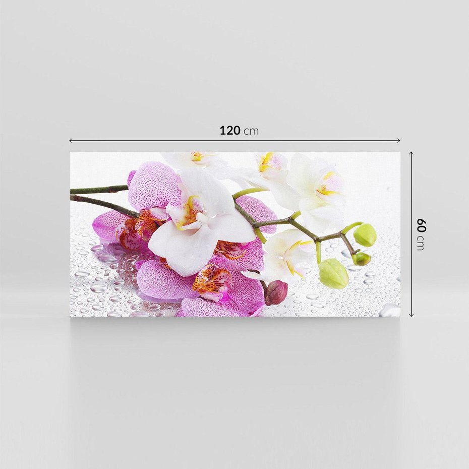 Obraz na płótnie 120x60 - Magia kwiatów - kwiaty