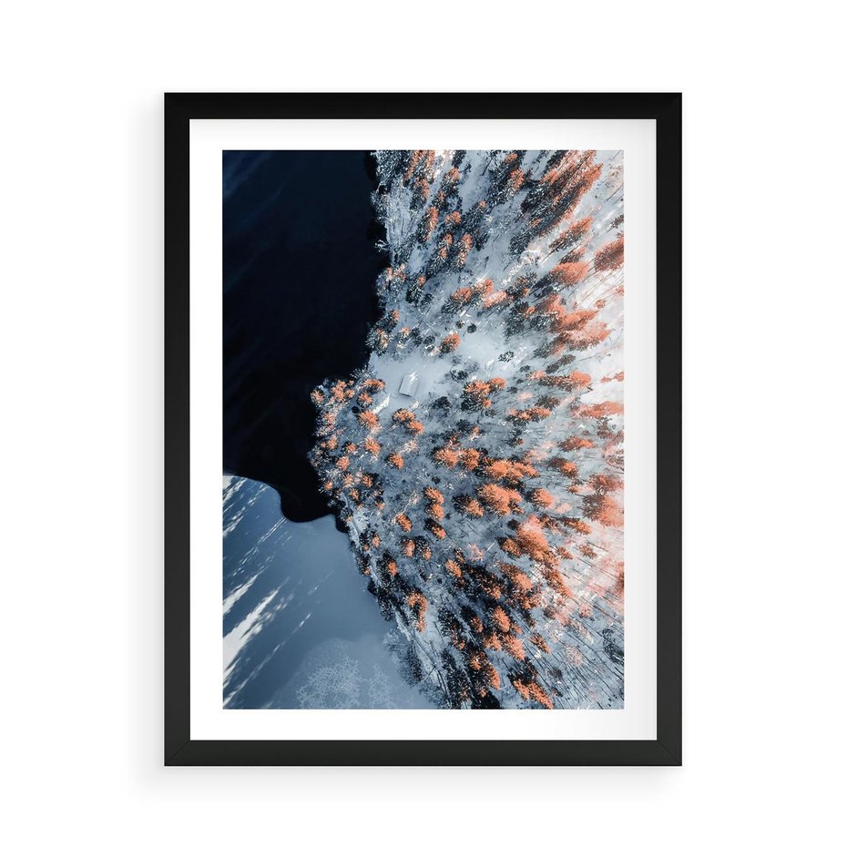 Plakat w ramie 50x70 - Lot Ptaka - zima, zimowy krajobraz - rama czarna